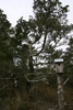 Springers_point_nature_trail3.jpg