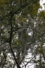 Springers_point_nature_trail6.jpg