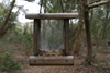 Springers_point_nature_trail7.jpg