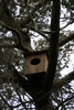 Springers_point_nature_trail8.jpg