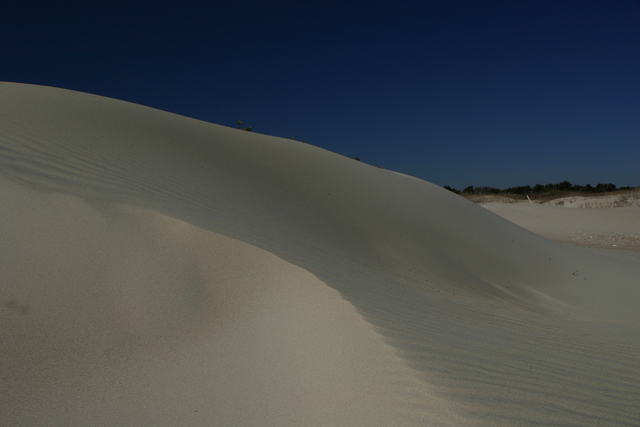 ../pictures/Ocracoke_beach3.jpg