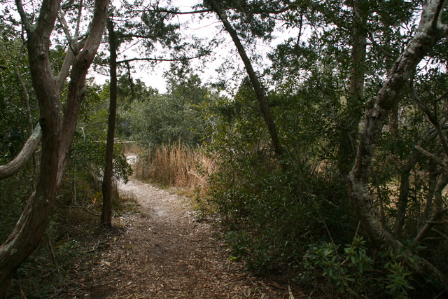 ../pictures/Springers_point_nature_trail1.jpg