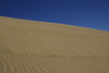 Kitty_Hawk_dune10.jpg