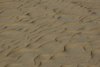 Kitty_Hawk_dune2.jpg