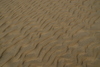 Kitty_Hawk_dune5.jpg