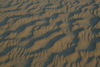 Kitty_Hawk_dune_at_sunset11.jpg