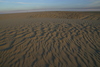 Kitty_Hawk_dune_at_sunset12.jpg