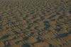 Kitty_Hawk_dune_at_sunset14.jpg