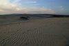 Kitty_Hawk_dune_at_sunset15.jpg