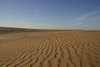 Kitty_Hawk_dune_at_sunset3.jpg
