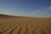 Kitty_Hawk_dune_at_sunset4.jpg