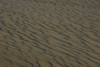 Kitty_Hawk_dune_at_sunset9.jpg