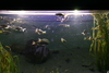 Manteo_aquarium16.jpg