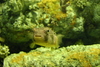Manteo_aquarium21.jpg