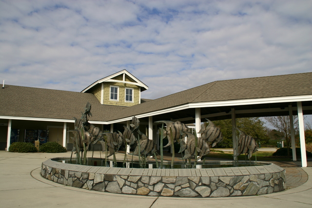 ../pictures/Manteo_aquarium32.jpg