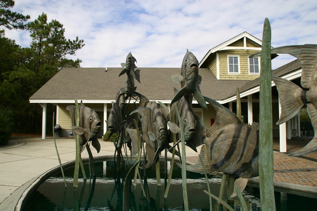 ../pictures/Manteo_aquarium34.jpg