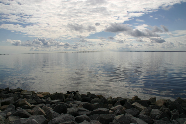 ../pictures/Manteo_aquarium35.jpg