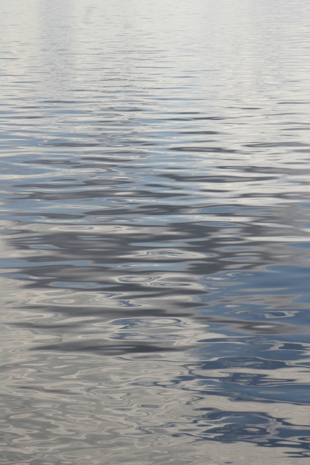 ../pictures/Manteo_aquarium36.jpg