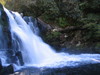 Abrams_falls1.jpg