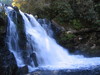 Abrams_falls2.jpg