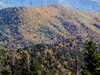 Clingmans_dome1.jpg