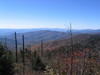 Clingmans_dome15.jpg