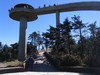 Clingmans_dome18.jpg