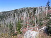 Clingmans_dome4.jpg