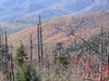 Clingmans_dome5.jpg