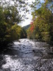 Little_river_views4.jpg