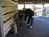 Oconaluftee_village6.jpg