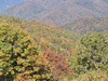 pretty_fall_colors1.jpg