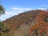 pretty_fall_colors7.jpg