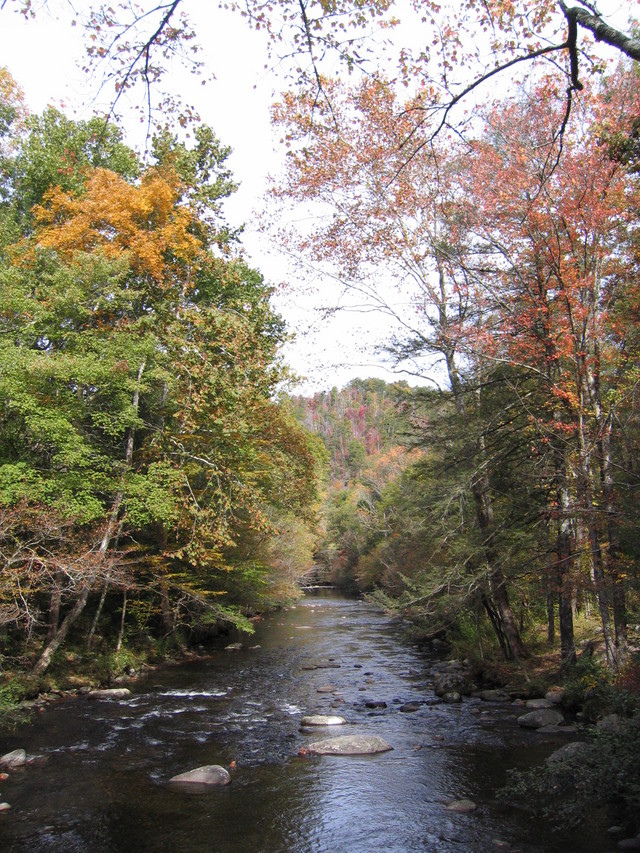 ../pictures/Little_river_views1.jpg