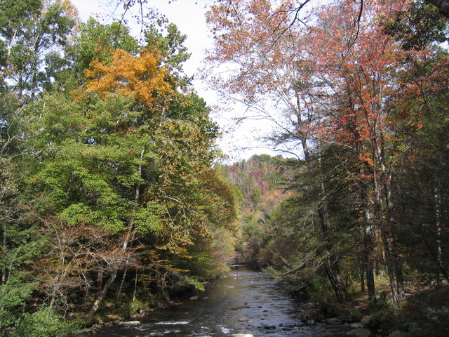 ../pictures/Little_river_views3.jpg