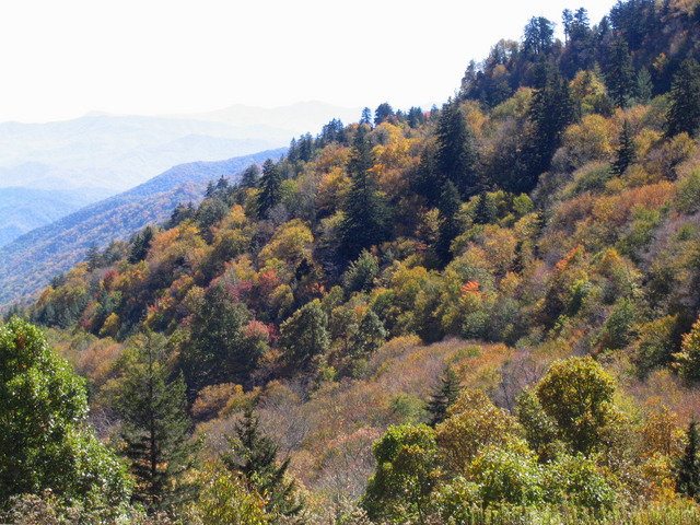 ../pictures/overlook_in_NC2.jpg