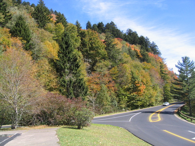 ../pictures/overlook_in_NC4.jpg