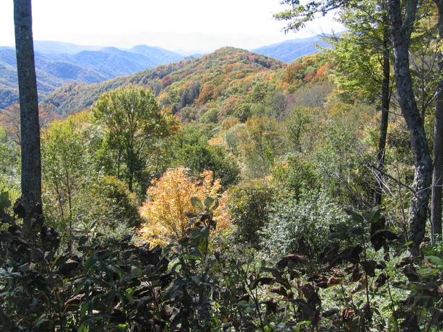 ../pictures/overlook_in_TN1.jpg
