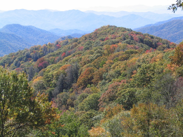 ../pictures/overlook_in_TN2.jpg