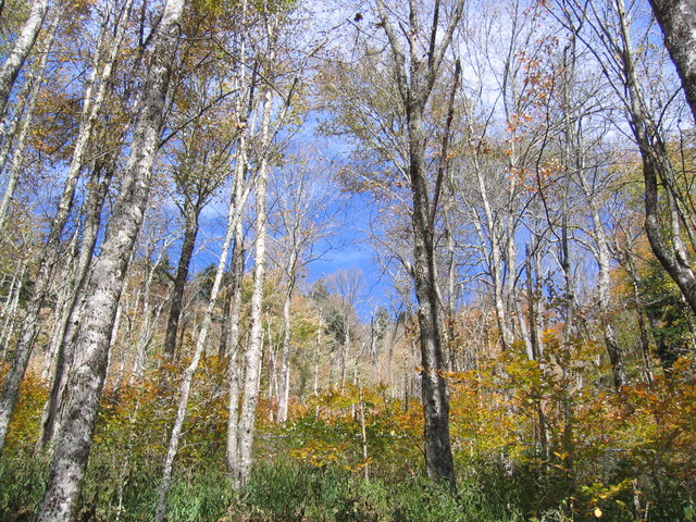 ../pictures/unpaved_road_views1.jpg