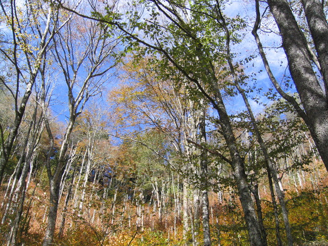 ../pictures/unpaved_road_views2.jpg