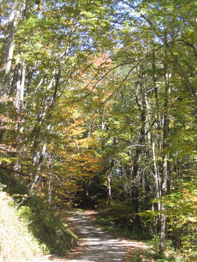 ../pictures/unpaved_road_views7.jpg