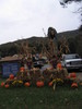 Cherokee_village3.jpg