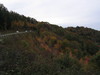 Hwy_441_going_home6.jpg