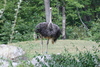 NC_zoo1.jpg