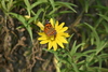 NC_zoo103.jpg
