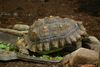 NC_zoo24.jpg