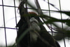 NC_zoo34.jpg