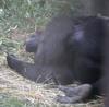 NC_zoo36.jpg