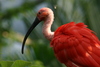 NC_zoo53.jpg